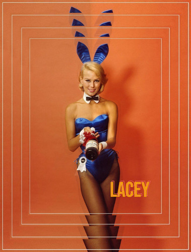 bunny.jpg