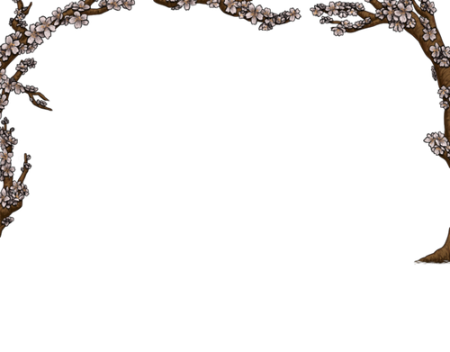 blossom blooms white.png