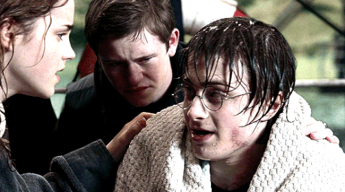 tumblr c15e6186037c056b854b5989cf64ea38 04b4ae5e 540.gif