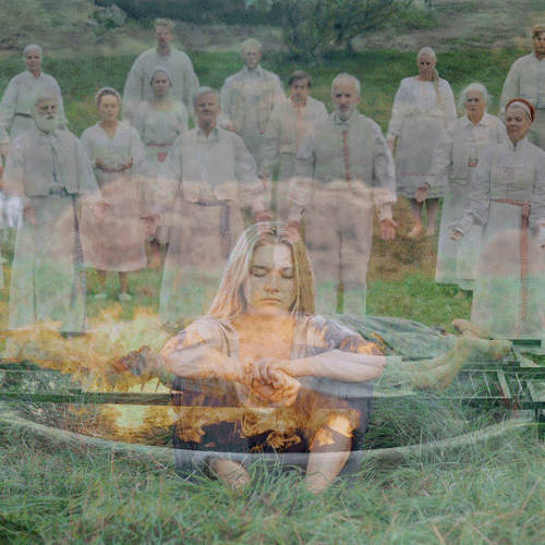 tumblr 85fdb70839f098d4ab3573205c6c43c1 24ec8466 540.gif