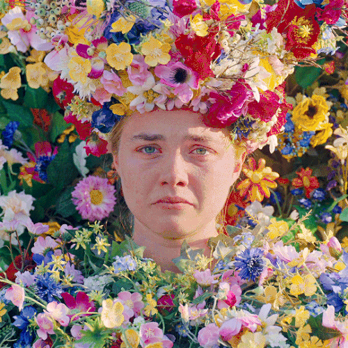 tumblr 4c89b08d90dc2d6ab1e412697eabf9e2 18bb1afb 540.gif