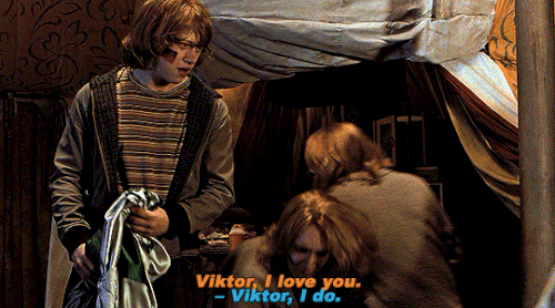 tumblr ca7f9a598e158202ab69dbce62168792 bd2f0b4c 540.gif