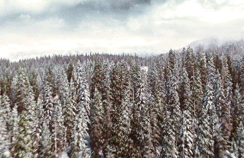 tumblr 6923f69fc1c8b64162a9103dde87ff3f 0a1e0fa1 540.gif