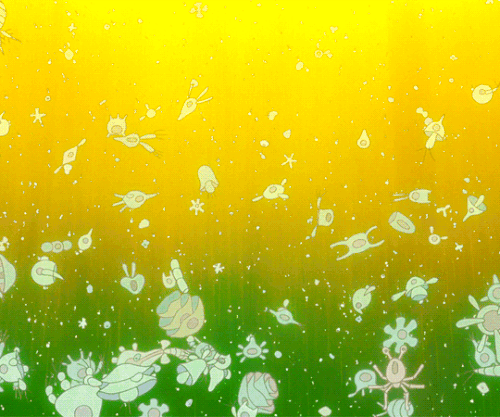 tumblr df016e0677f68939f9e41564441ecadc faa2e70c 540.gif