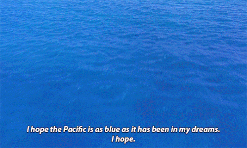 tumblr 8ed587ed429781a7b5a2d50a1dbff156 c8be204c 540.gif