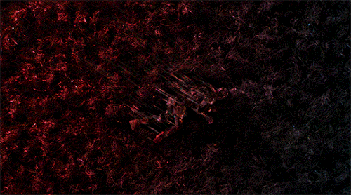 tumblr 5a11df18e4c376fa5ea4822e1185cca2 514efa63 540.gif