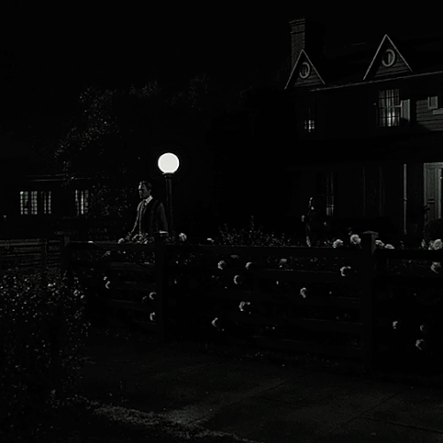 tumblr c24fb7d4d356f363c50b6c5c4c5e795f 78715a5c 540.gif