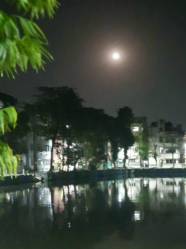 আমার বাড়ির সামনে চাঁদ উঠেছে