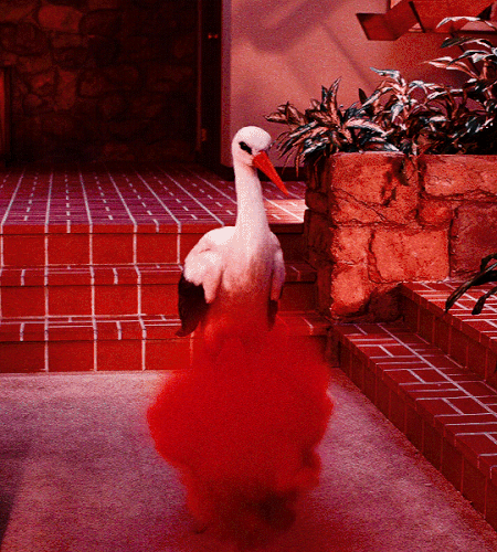 tumblr 503f9f23f0380425d0acb98925482f78 072317f3 540.gif