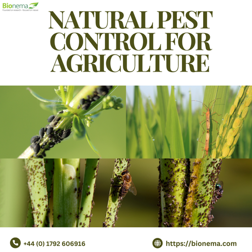 Natural Pest Control for Sustainable Agriculture.png