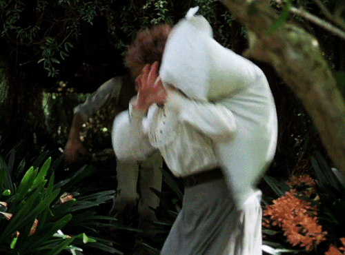 tumblr 683f7f555ba3e24991474cdb73ec2ec3 d25a9b33 540.gif