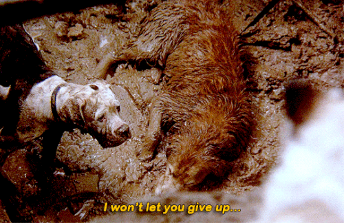 tumblr 17efe666b2a973435dab28cbc339bcb4 cf3fcc7c 540.gif