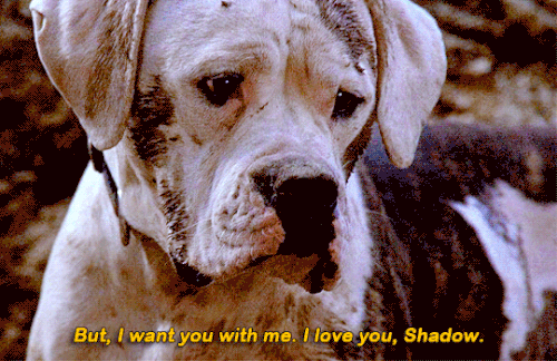 tumblr ca153e990de4248f59aace765af9a202 4f375b81 540.gif