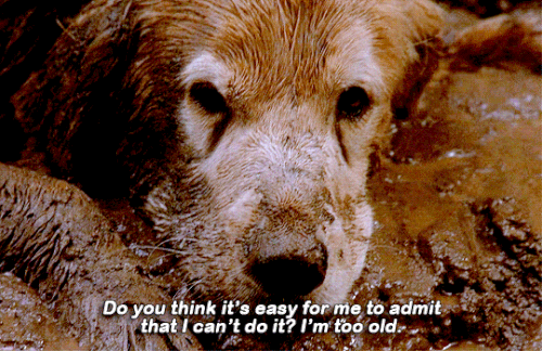 tumblr b58f38336bece4558affdd08514bdf84 70b049d7 540.gif