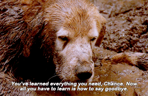 tumblr 43d5d2e176849f9cec5b0bc257479876 f6f00296 540.gif