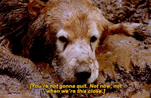 tumblr 4ab84fb687b9e1d0a6db7a155fca4102 7c2b8718 540.gif