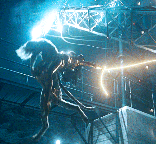tumblr e23025f8502eb56de007a0941eaf953f 3a8ec58b 540.gif