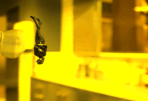 tumblr aefc6eb65dc72e14ee355cc8d7105faa 8cee7121 540.gif