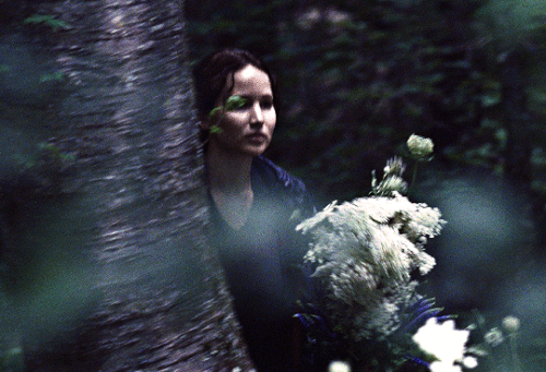 tumblr 6f554ad499c8d9f05360e528d6d73f29 ae8ec65c 540.gif
