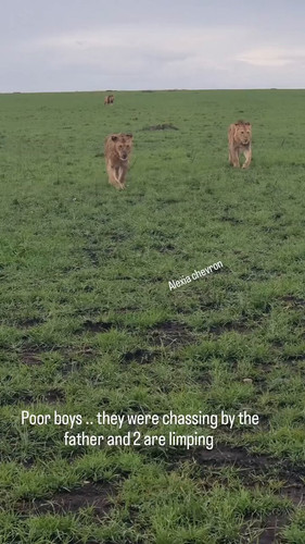 Wraysefo0Ur1qC1S.jpg