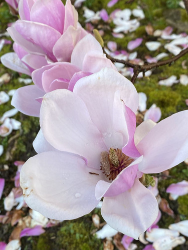 GoQcMKAbYAAa6K3.jpg