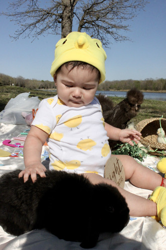 IMG 9653.jpg