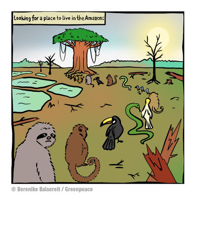 GoRJMBBbYAAOzRt.jpg