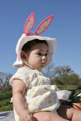IMG 9584.jpg