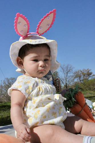 IMG 9585.jpg