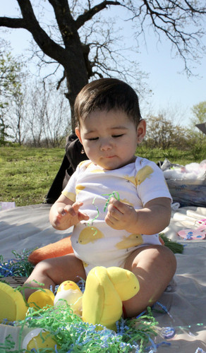 IMG 9695.jpg