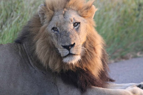 GoO4lbDWQAAYewr.jpg