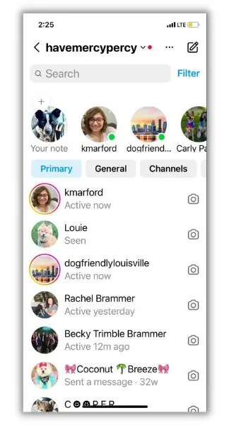 How to dm on instagram example havemercypercy.webp