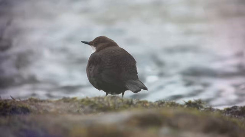 ZHe ygW7Hbf1oSd1.jpg