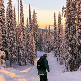 80ddf54f404a4d4f8fc784c46fc40e68