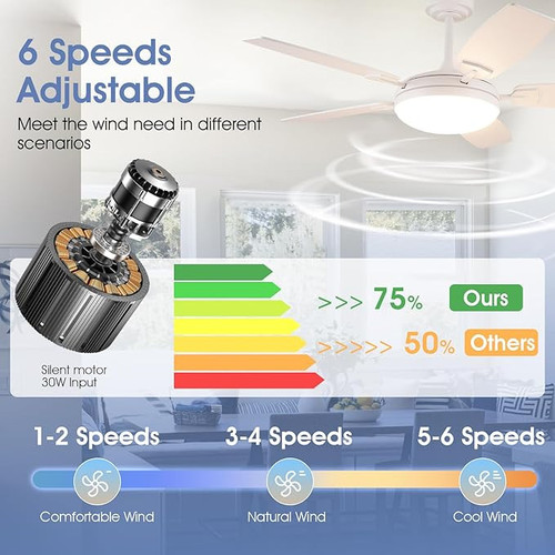 71nmVayAZfL. AC SX679 .jpg