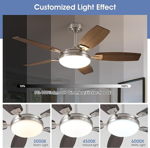 71fpiC7xgkL. AC SX679 .jpg