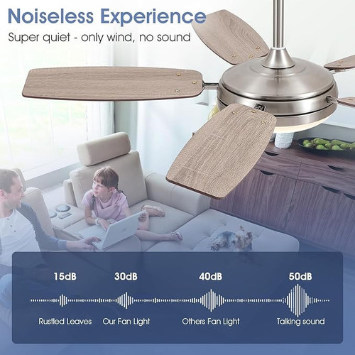 71jpBU0ZQ6L. AC SX679 .jpg