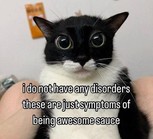 dcf5aa9b 06ce 4a9f 93ab 16e117036b64.jpg