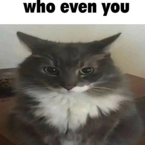 f825f05b 1fb3 41c5 8911 2da4196d6a68.jpg