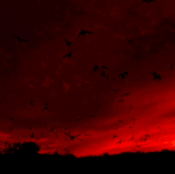 42816e43 f7dc 4bf0 990f dac2005ae635.gif