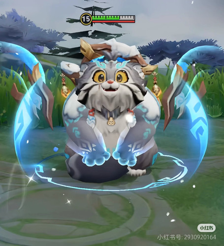 Camera XHS 17443382319201040g2sg31g3oq1fg1k005oni1smnokohhjb480g.jpg