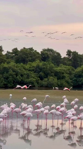 NURy3W4X 7pW8lq7.jpg