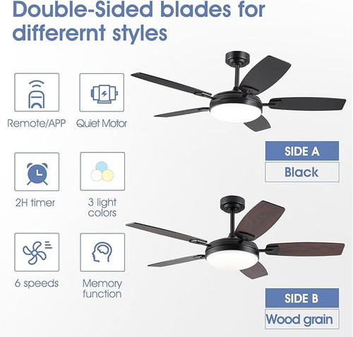 61j5bCNBcPL. AC SX679 .jpg