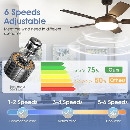 71bVNK2HTnL. AC SX679 .jpg