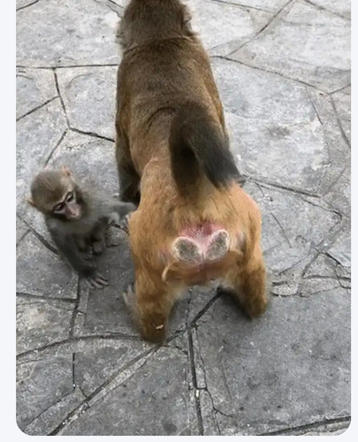 Screenshot 20250411 094051.jpg