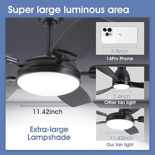 71XjFOkdFjL. AC SX679 .jpg