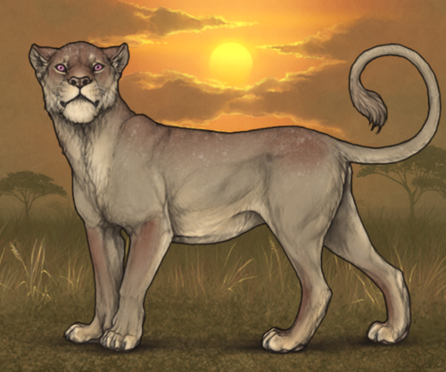 808b6002 40d3 434c a4a1 28890b8f80f6 ezgif.com resize.png