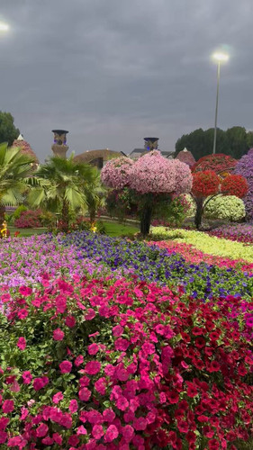 xKViLk106zS OSwB.jpg