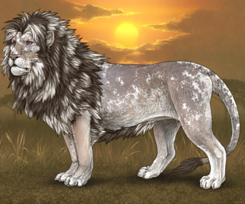 2d993509 235b 495c 8812 0e5f301c0056 ezgif.com resize.png