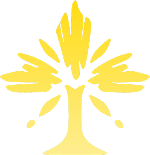 虚数 彩.png